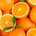 HERITAGE Men Long Microfiber Boxer ORANGES Orange MADE IN FRANCE